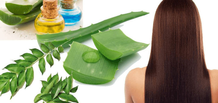 food for healthy hair Archives - Woman's era food for healthy hair Archives - Woman's era