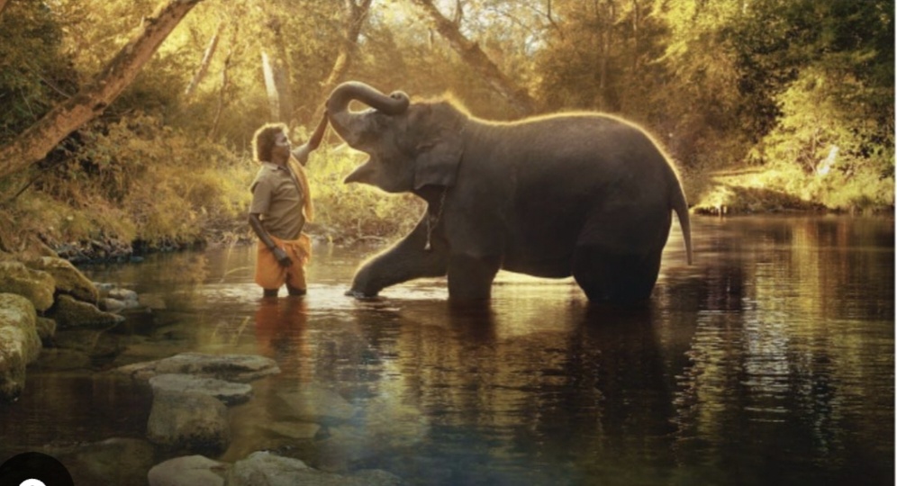 The elephant whisperers