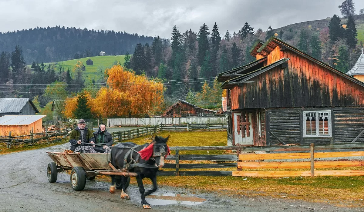 Couple takes a Horse carriage in Romania