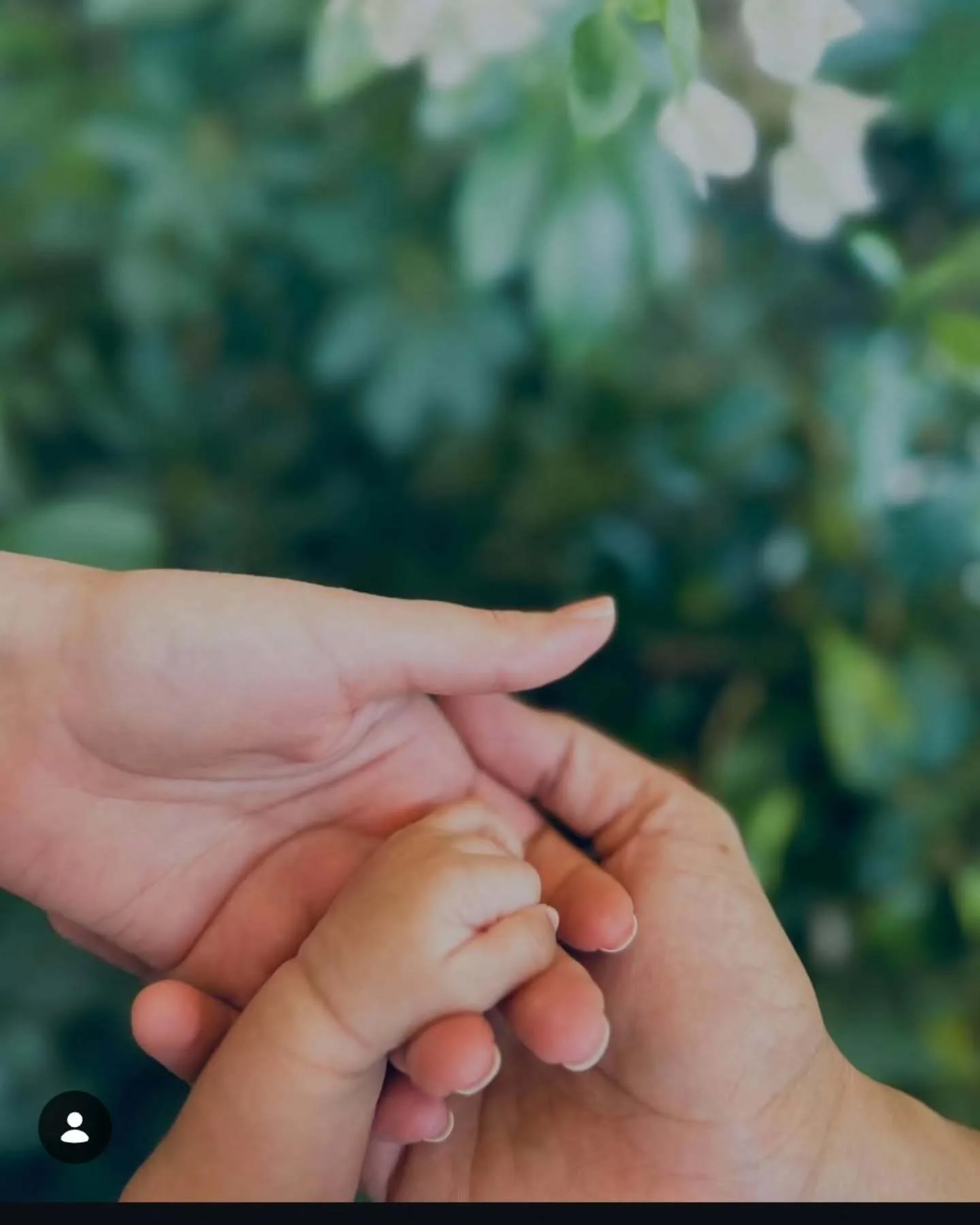 Katrina and Vicky Kaushal's son Vihaan